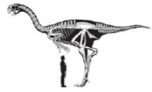 terminated-dinosaur-era