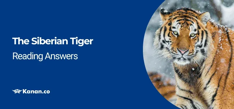 The Siberian Tiger