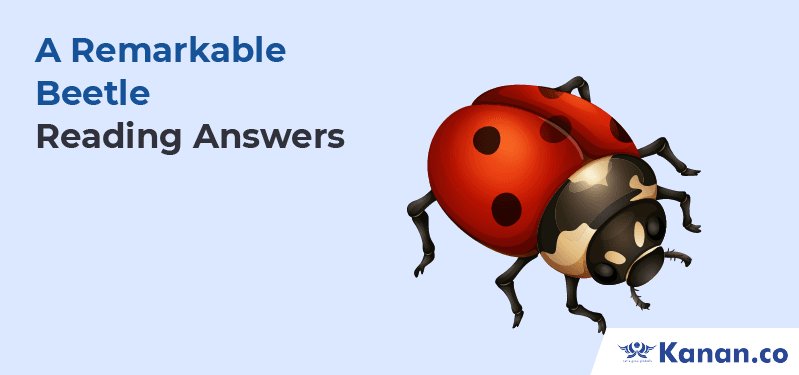 A Remarkable Beetle Reading Answers