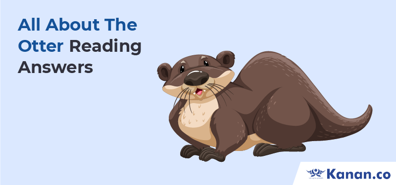All about the otter Reading Answers