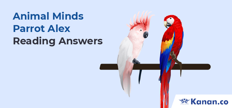 Animal Minds Parrot Alex Reading Answers