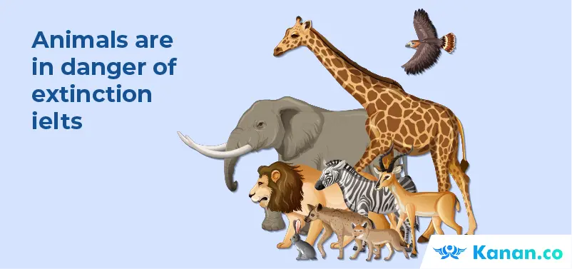 animals-are-in-danger-of-extinction-ielts