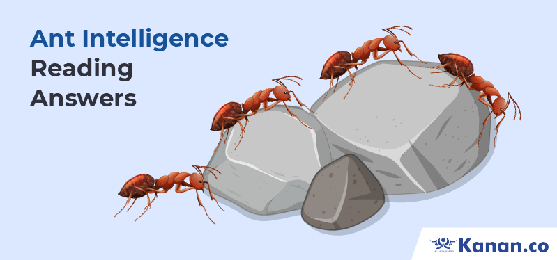 ant intelligence reading answers