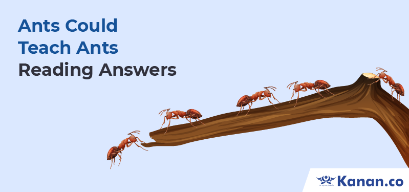 Ants could teach ants Reading Answers