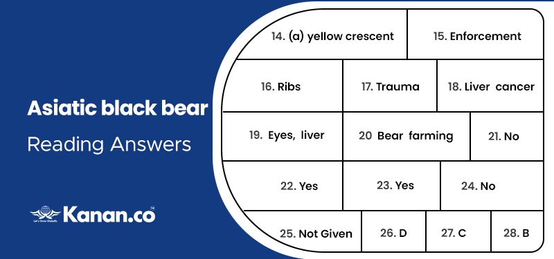 asiatic black bear reading answers