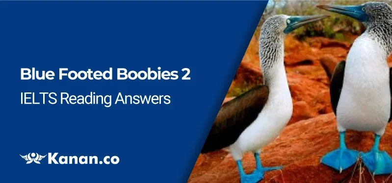 blue footed boobies 2 reading answers
