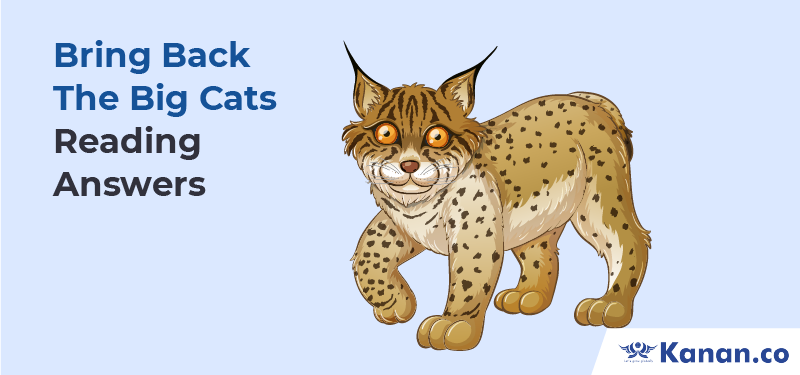 Bring back the big cats reading answers