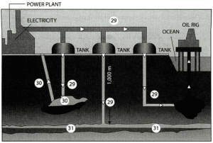 Carbon capture and storage reading practice test