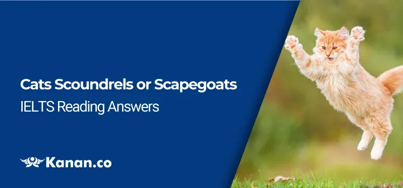 cats scoundrels or scapegoats reading answers