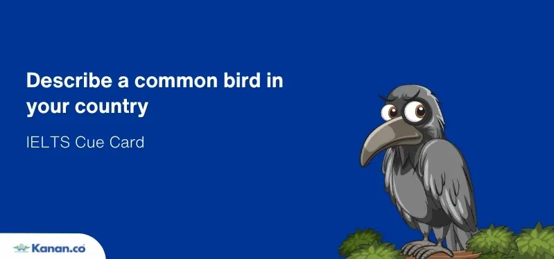 Describe a common bird in your country