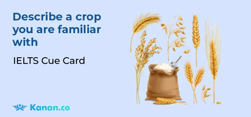 Describe a crop you are familiar with