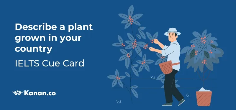 Describe a plant grown in your country 