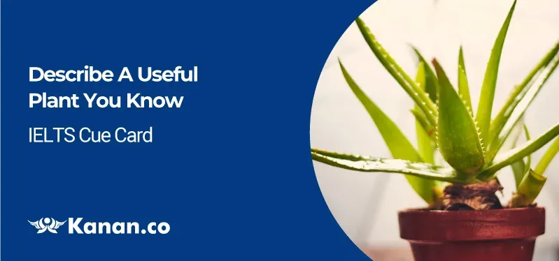 Describe a useful plant you know