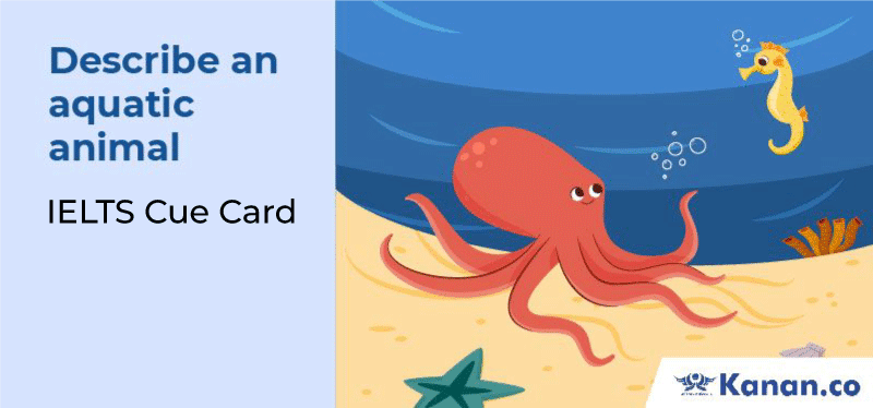 Describe an aquatic animal