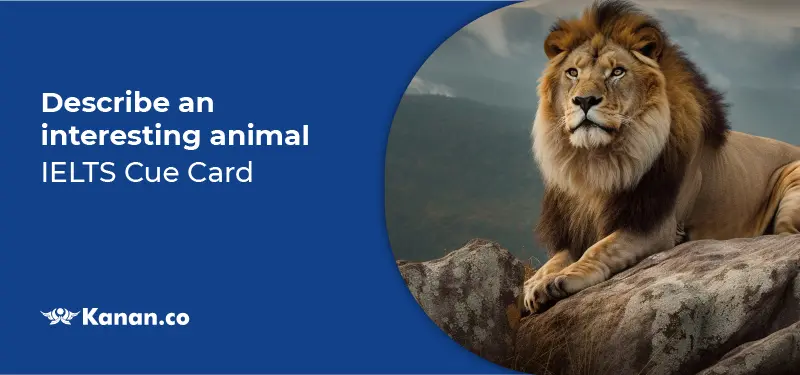 Lion is an interesting animal