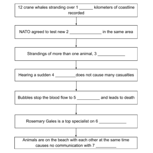 general flowchart reading general