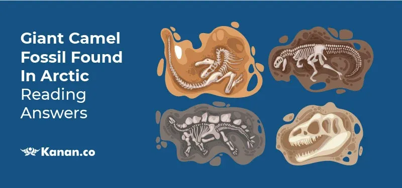 Giant camel Fossil found in arctic