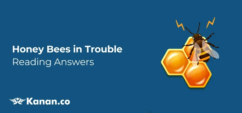 honey-bees-in-trouble-reading-answers.webp