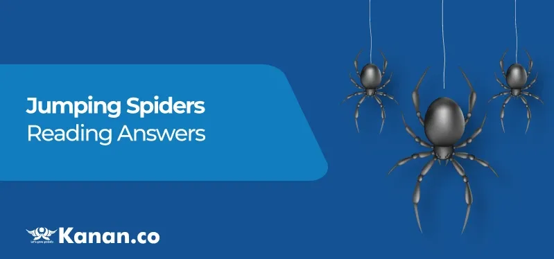 jumping-spiders-reading-answers.webp