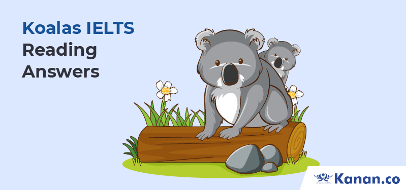 Koalas IELTS Reading Answers
