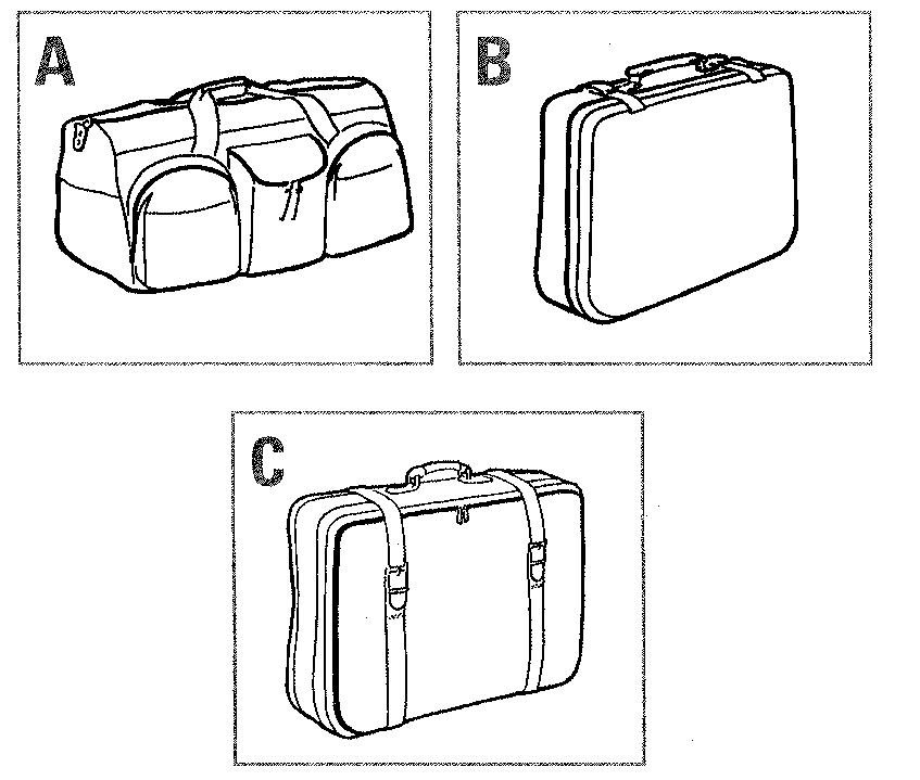 Lost Luggage claim Form