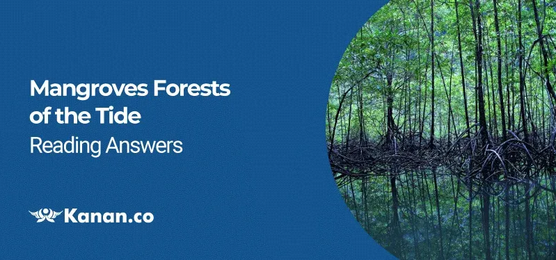 Mangroves Forests of the Tide