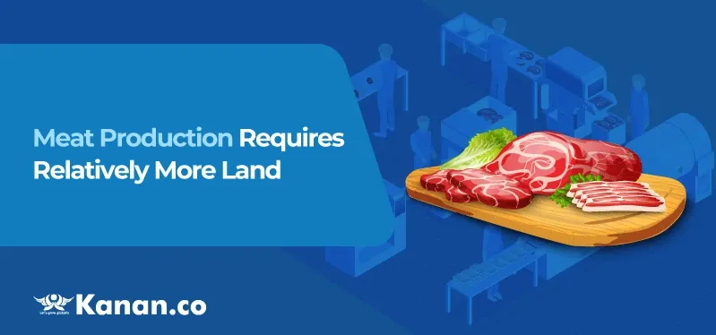 meat-production-requires-relatively-more-land.webp