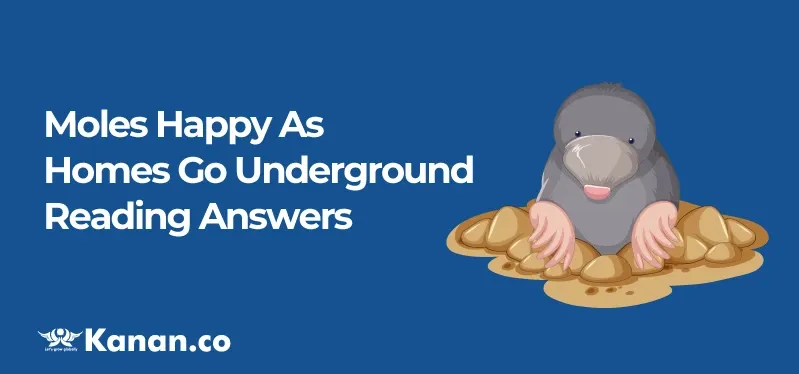 moles-happy-as-homes-go-underground-reading-answers.webp