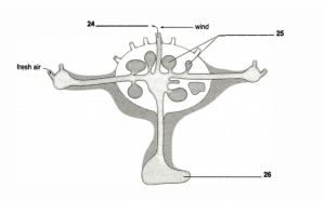 Mutualism reading answers