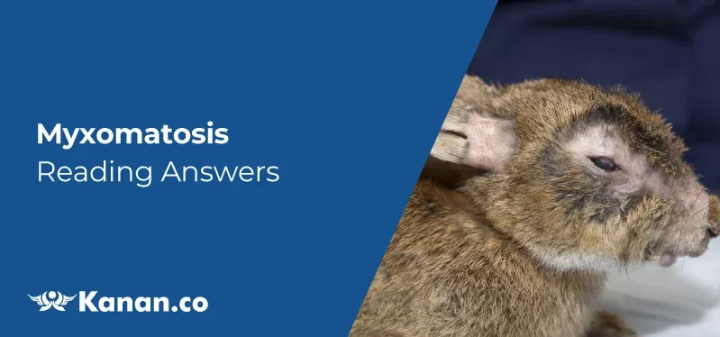Myxomatosis reading answers
