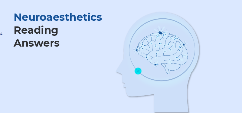 Neuroaesthetics Reading Answers