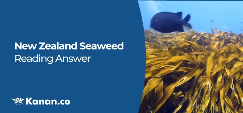 new-zealand-seaweed-reading-answer.webp