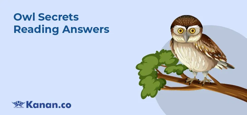 owl-secrets-reading-answers.webp