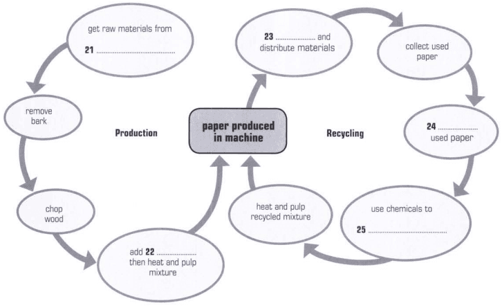 Paper Production