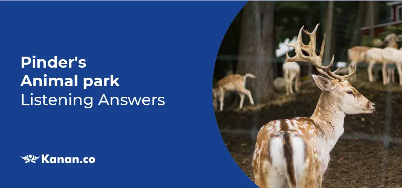 pinder's animal park listening answers