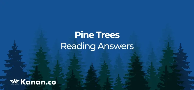 pine-trees-reading-answers.webp