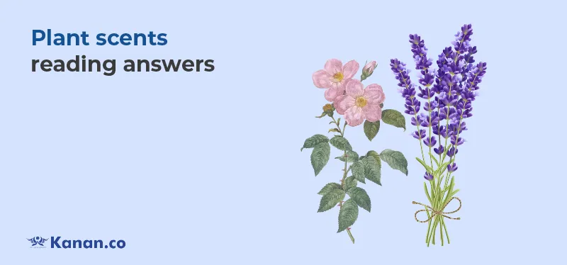plant scents reading answers