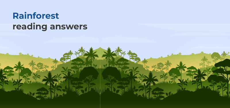 rainforest-reading-answers.png