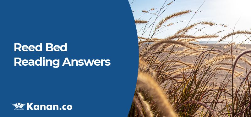 reed-bed-reading-answers.jpg
