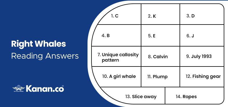 Right whales reading answers