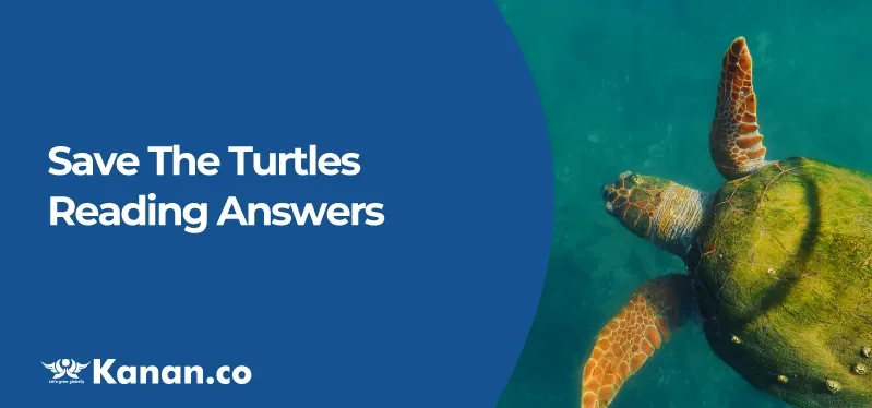 save-the-turtles-reading-answers.webp