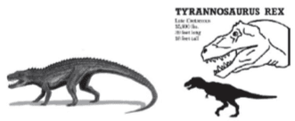 terminated-dinosaur-era-reading-passage
