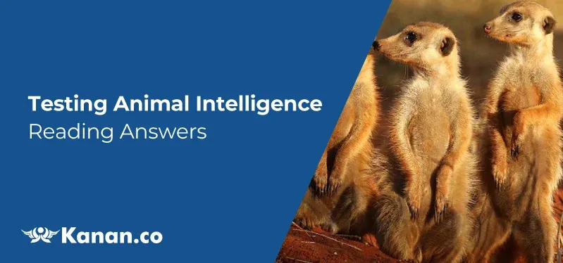 Testing Animal Intelligence Reading answers