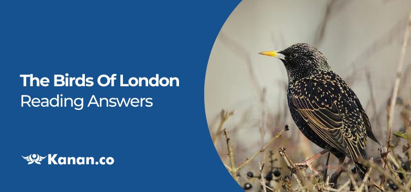 the-birds-of-london-reading-answers.jpg