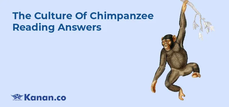 the-culture-of-chimpanzee-reading-answers.webp