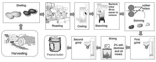 The diagram below shows how peanut butter is made