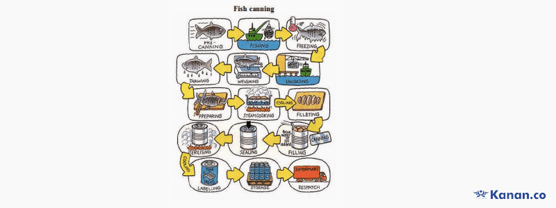 The diagram below shows the process of canning of fish 