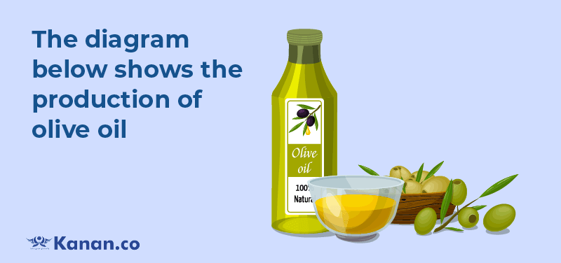 The diagram below shows the production of olive oil 