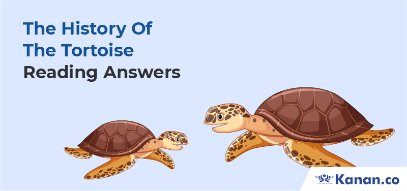 The History of the Tortoise Reading Answers