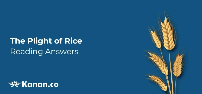 the-plight-of-rice-reading-answers.webp